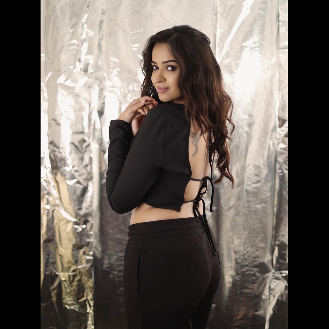 TeluguISM - Pujita Ponnada 