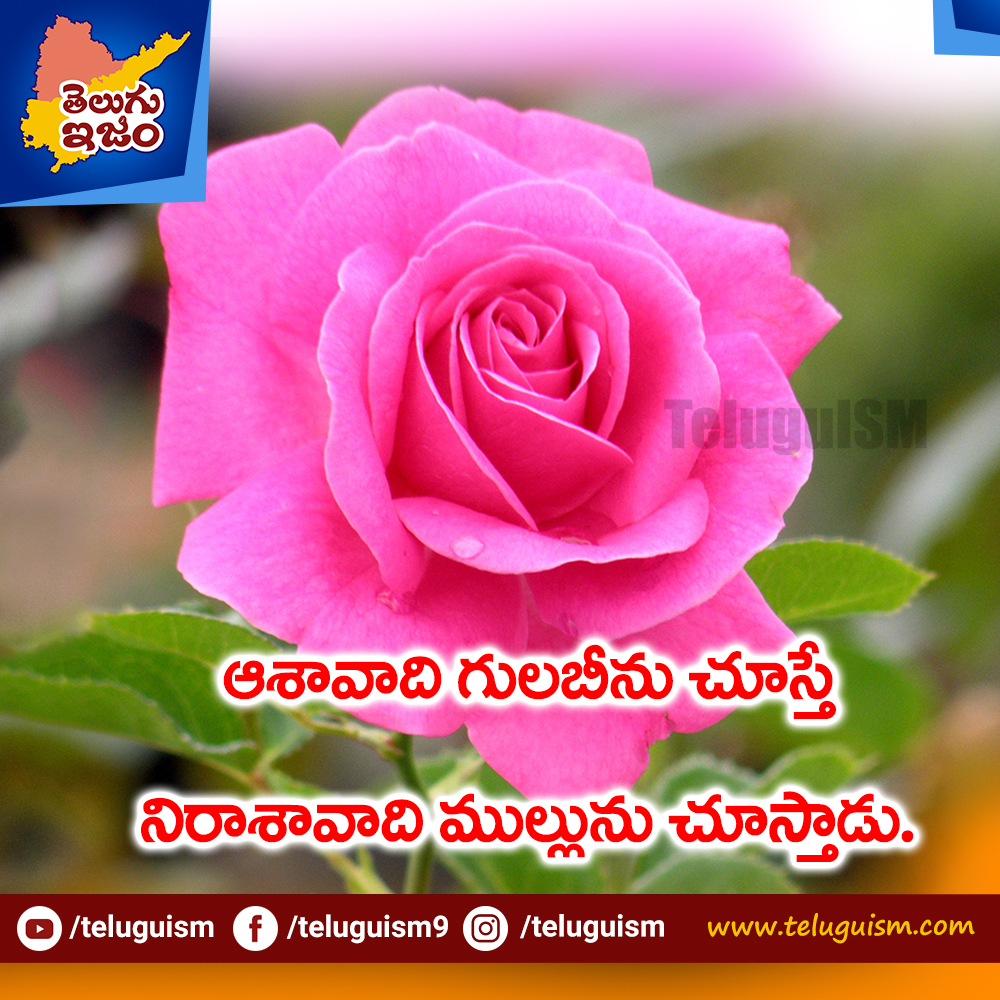 TeluguISM Motivational Quotes